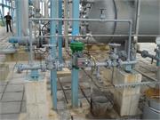 Banatski dvor slika51